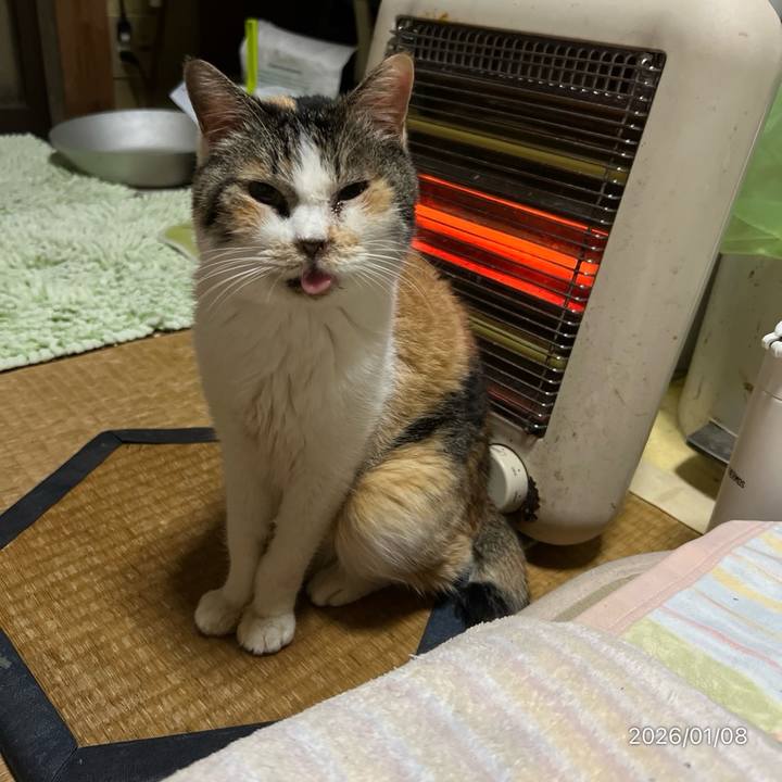 F0766612 1e79 4022 ab84 5b64b7910250 1767823422883