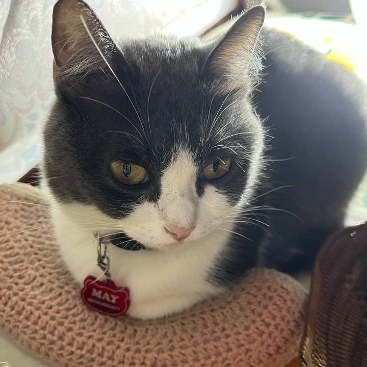 F076760d 7f93 457d 94e9 8683d67b0e4b 1762411285020