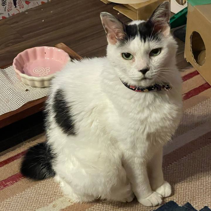 F0767e38 c73d 4752 992c 39b0e67be2b9 1725104947974