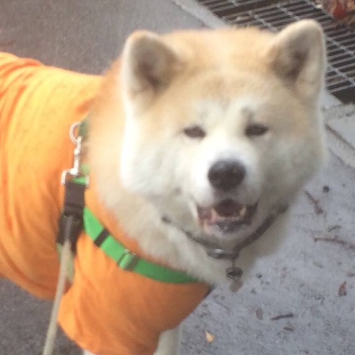 F07685d6 593f 4d76 b6a1 c542a521719c 1520643058094