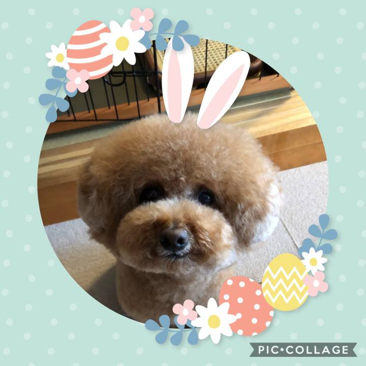 F076a243 e5e2 415a b344 22dcdbb68be9 1586363118993