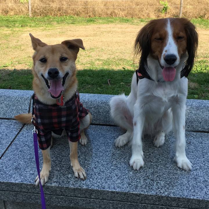 F076c49a 1929 4772 b19c 429a2bd1329c 1543912302748