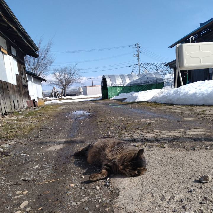 F076f976 410c 4ca0 a0ef 6e178fabbbb5 1707712496178