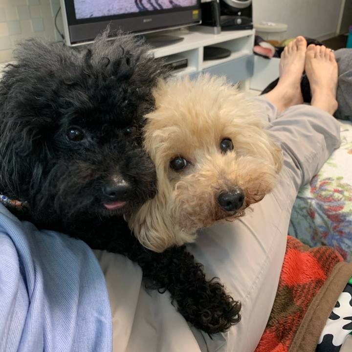 F077040b f749 4f13 9eea acfa5b448fa3 1585354864813