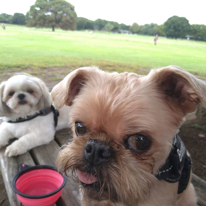 F0770ba1 0179 4f11 9515 ace95a5266ed 1630998152650