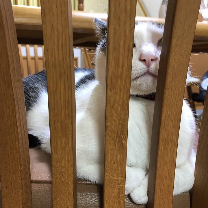 F0772250 c70b 4506 88e5 13006dae114c 1655643155683