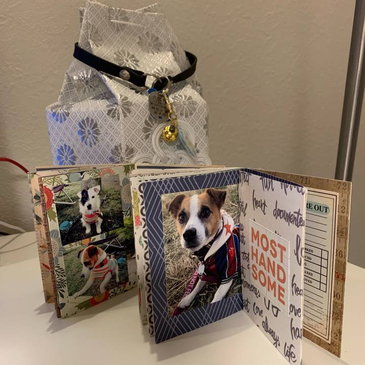 F0773eea 30b8 4b58 ac41 193c7432b013 1659705322412