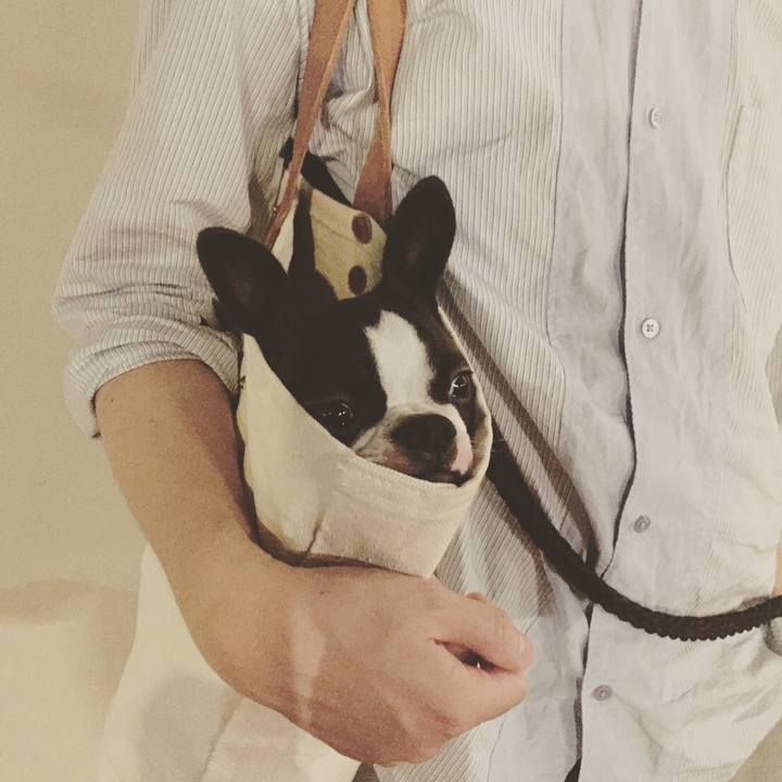 F077442d b8e7 4948 876f 28f1696857ea 1541575483481