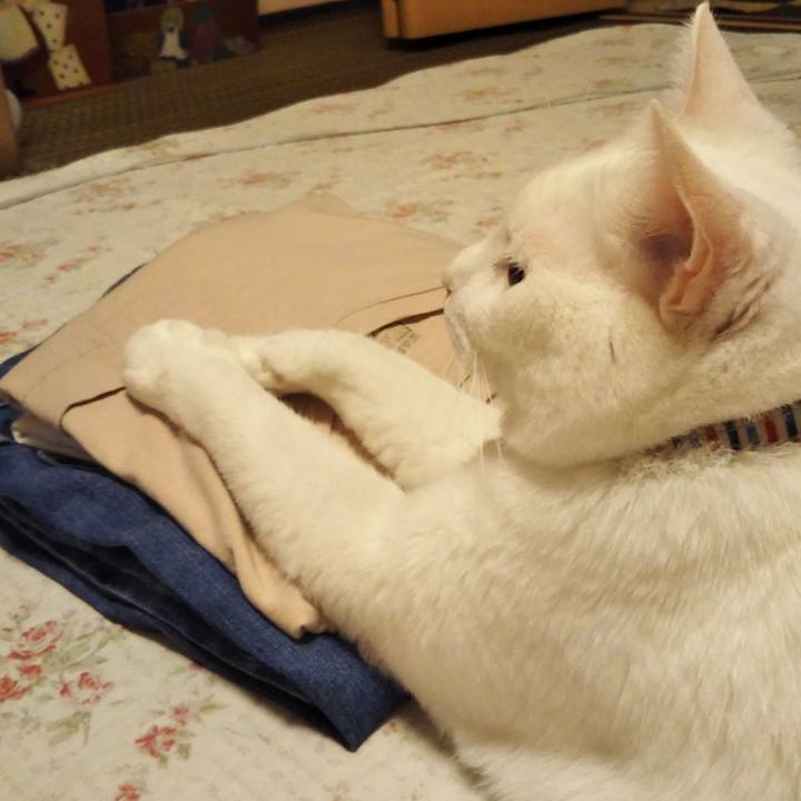 F0777fa2 fc54 42a0 95e3 44772b79028b 1628592524119