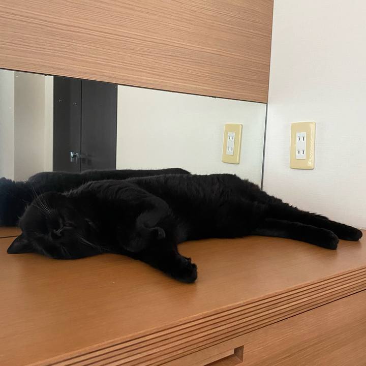 F0778332 574b 4251 aaf4 fbdc870a5d6b 1751412187017