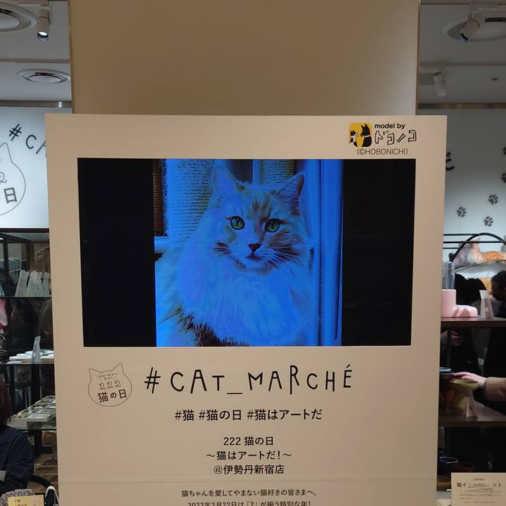 F077972a 210f 428b 8b15 856d89d5f8ba 1645610648664