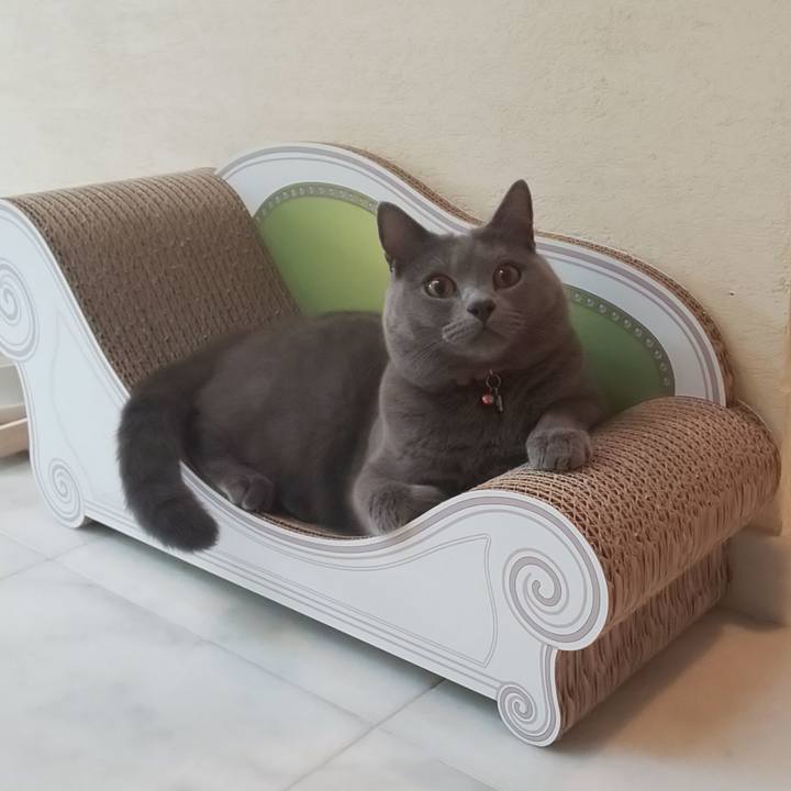 F0779dfe fdb9 4e10 ae1b dc99bd6abb3f 1536022957613