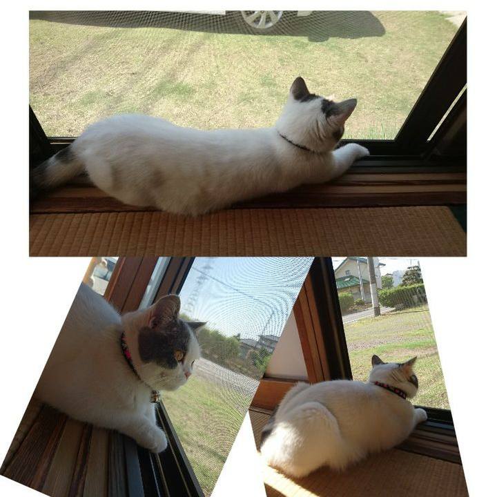 F077ad6d 0ed3 4a6b 9409 5d516585241e 1558827585702