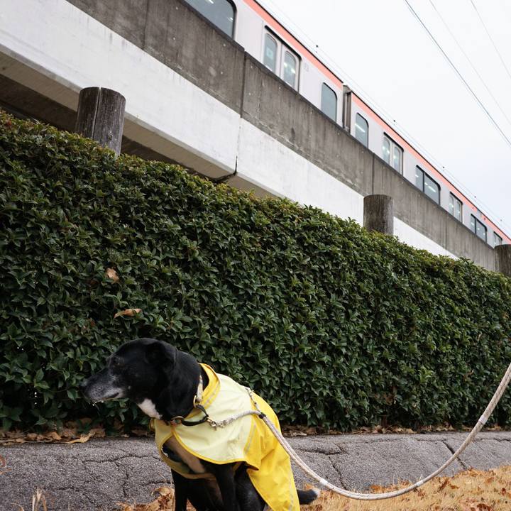 F077cfeb 3b82 4797 878b e6567c040035 1773618853532