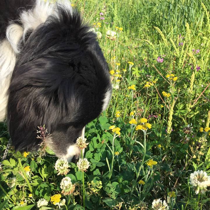 F077d879 4d1f 4104 ac54 1c4d6c3d75e5 1525388108385