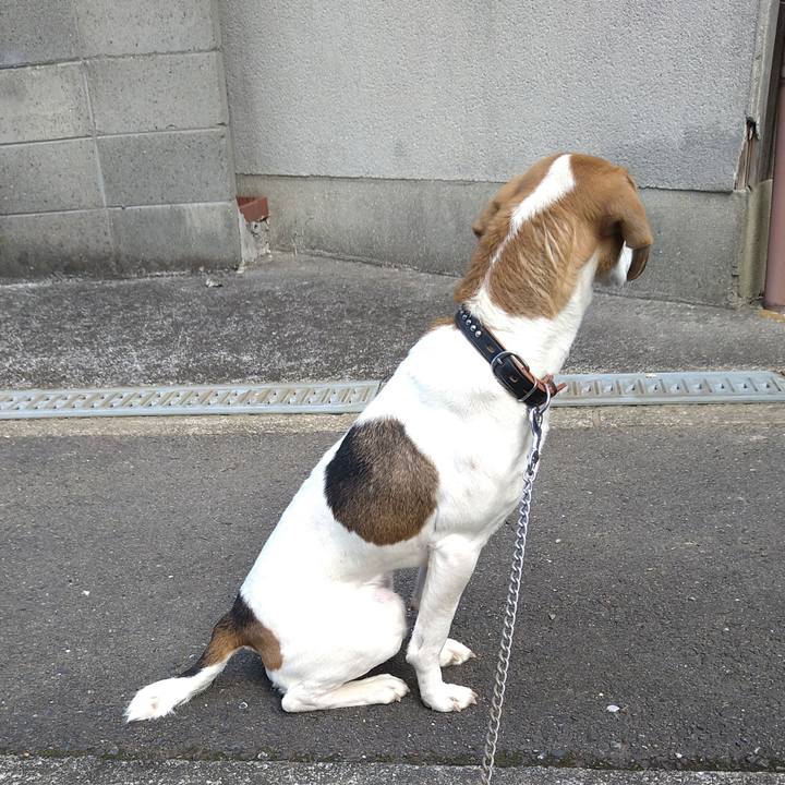 F0781ebd ecea 4cec 810b 7fec5282a196 1643194336985