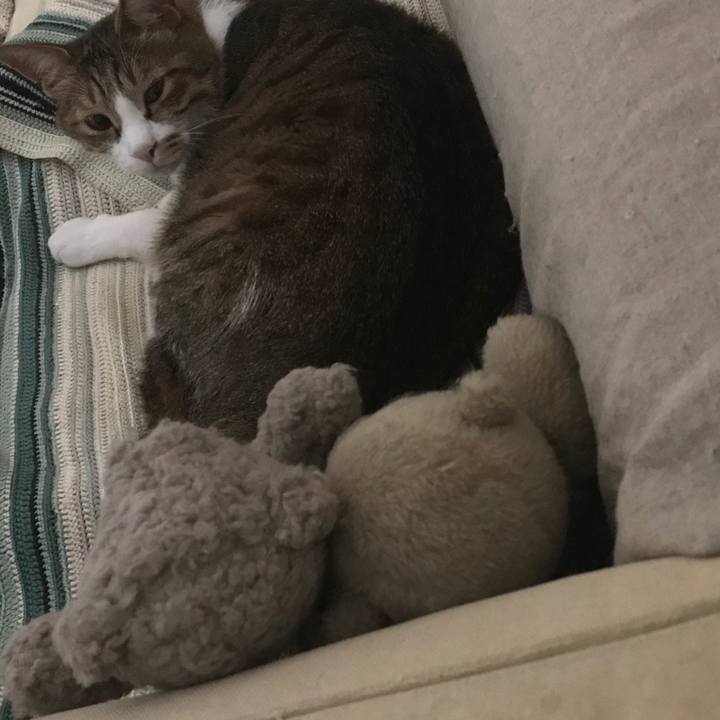 F07843c4 d901 41fb 8977 2ccd2f941d06 1533194890690