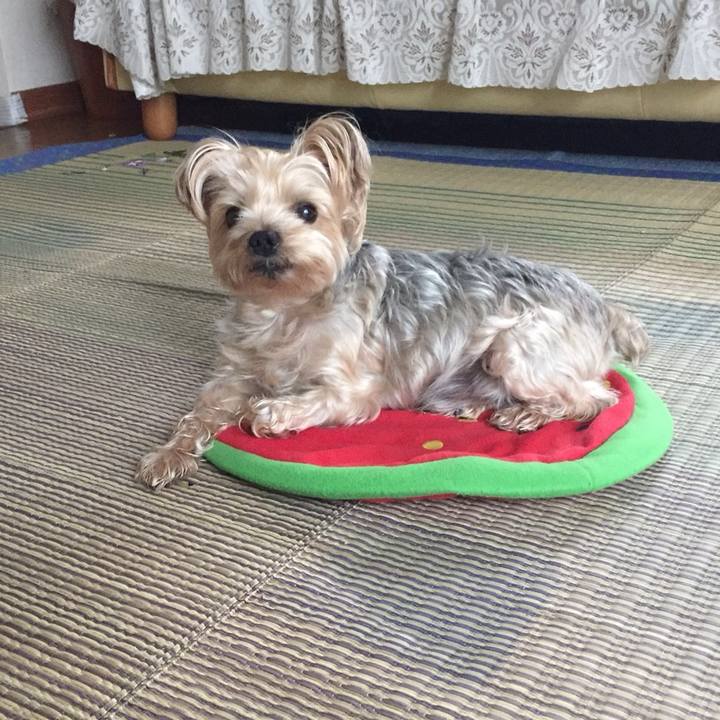 F0786129 e37c 46dd 9862 00d2dfeedd3f 1538439763137