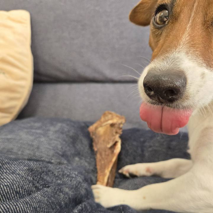 F0789c9a 2530 4b05 9cf9 af855ca789bb 1767845332656