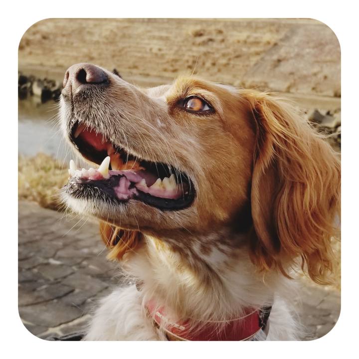 F078f7f8 6b92 4bbf a1d8 17af61bea142 1676197980136