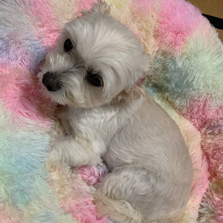 F078f9fc 51df 4006 9c2a 8cdec21e44b4 1631191621191