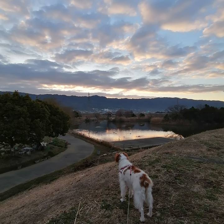 F0792aa3 1b85 442b 99d7 ca4f3000b237 1612916506573