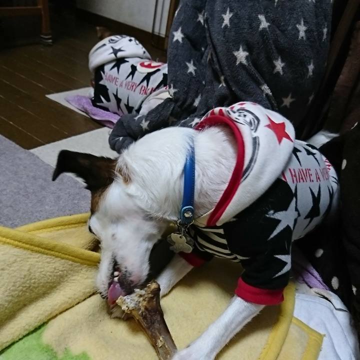 F07933fd 1e27 4923 aa79 df033ead2bf9 1574467699781