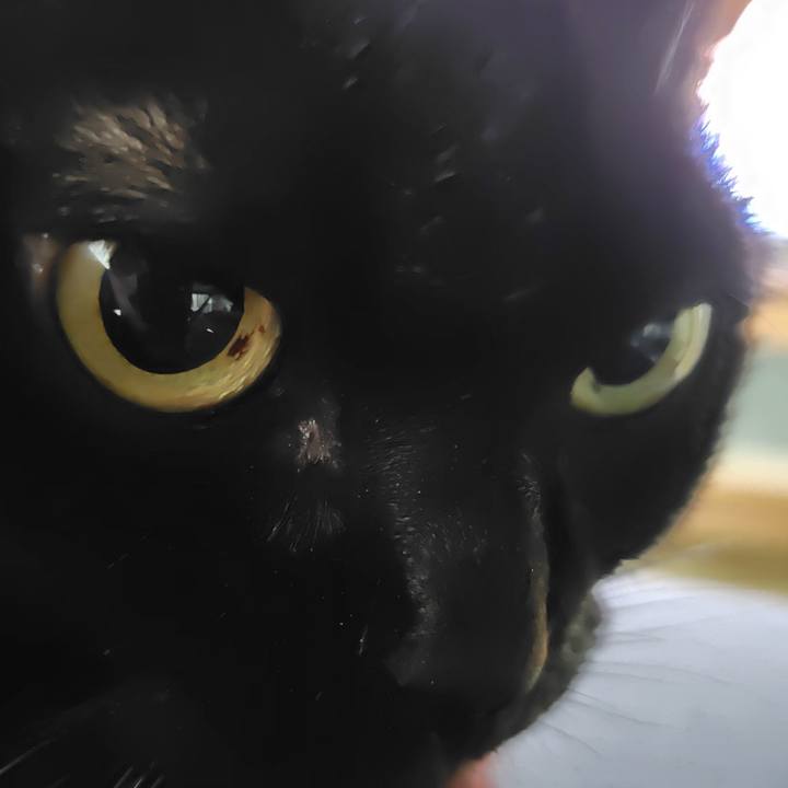 F07952fa 947e 4043 9c42 9e5afa4868d8 1761953659285