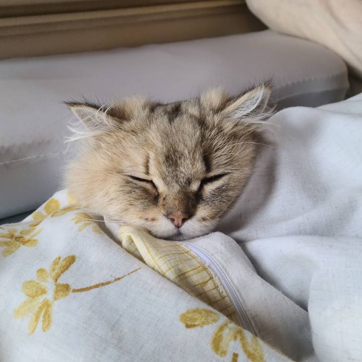 F0795f33 3d92 4584 b28c 63f59ca5888d 1653985743435