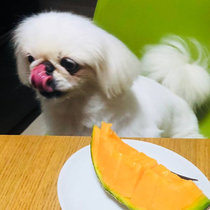 F0796e00 5dc3 48ff 824b 13fc3f319e01 1599057985669