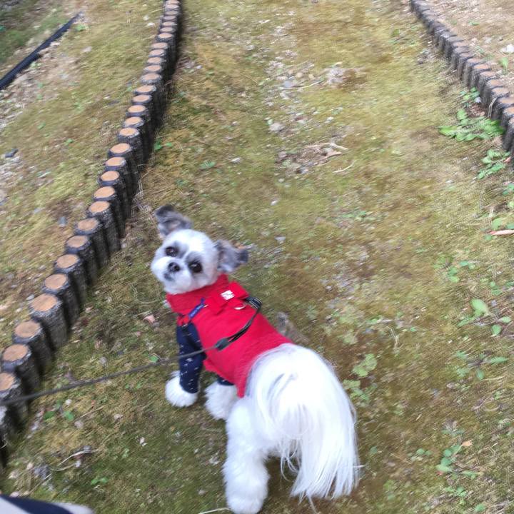 F079d7dc 7e7f 47f7 a46f ab3e366969fe 1513910794093