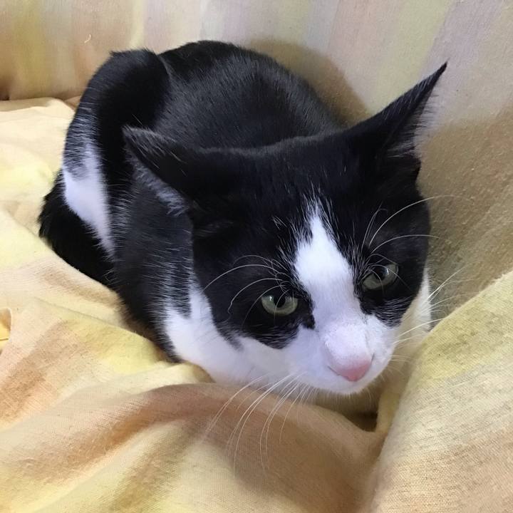 F079dad6 38ab 4562 940f 2f2a8b518fec 1707288693342