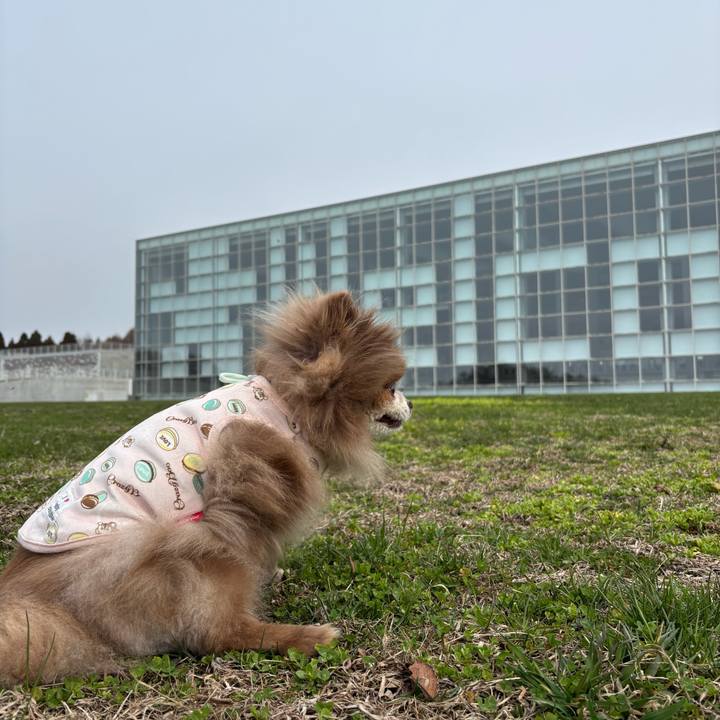 F07a11e6 824b 4f6d 948e 24ff4eaa2a48 1775265495155