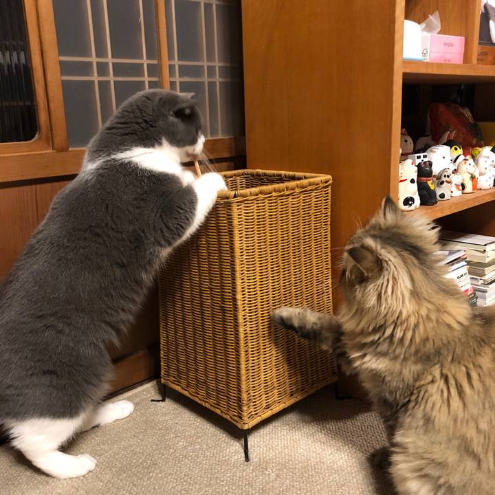 F07a1a62 d5a6 4cbb 8ae1 a202cd7ae9b5 1566391151429