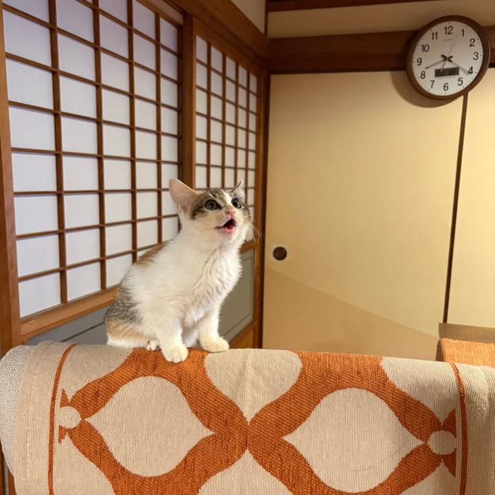 F07a4265 27c4 4bcd 8817 4418b18e41f3 1766152100420