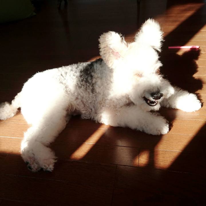 F07a4858 4b73 4cea 93ba e67e65a7a30b 1513129803779