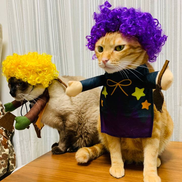 F07a5281 c71c 4416 b2ac 157b988ee0f3 1568619183502