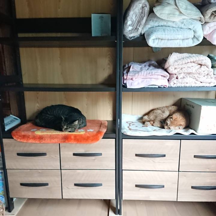 F07a52cc 3994 43fa 945d e9cdf90403de 1662610725318