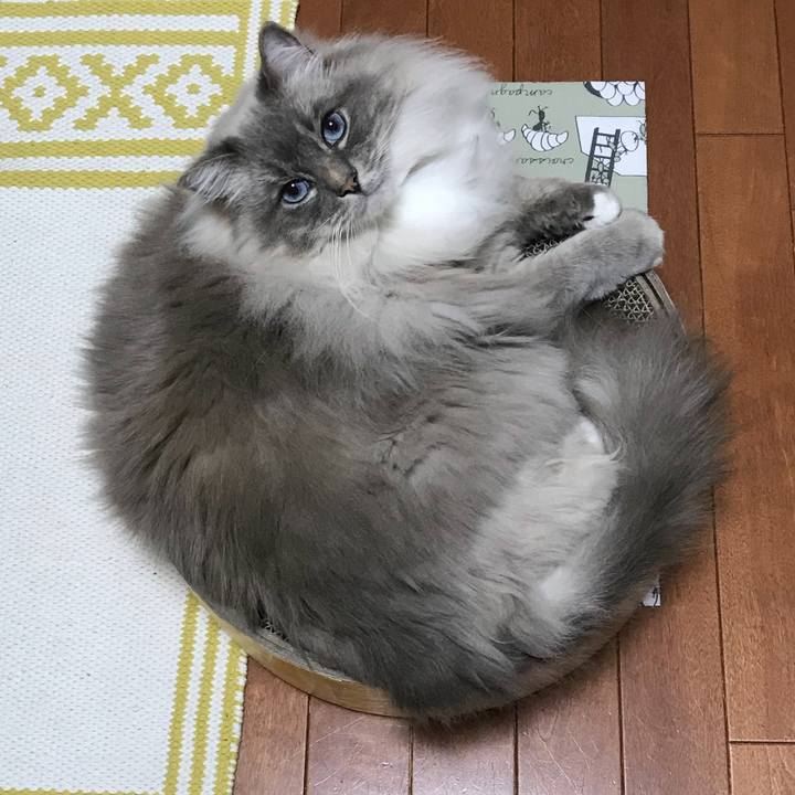 F07adb02 f526 46c3 942e b2294f1c7344 1524038092121