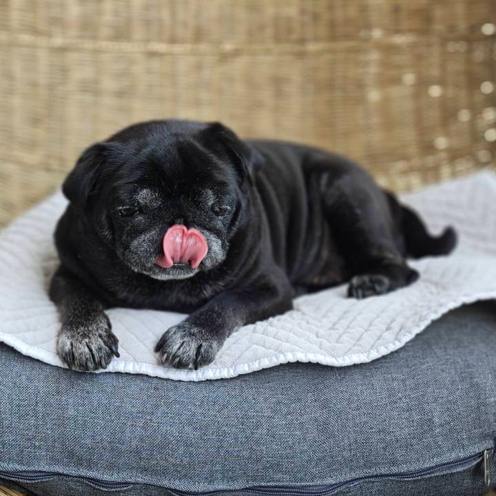 F07b2fa5 fc08 4c3f 80cf 234a9ff1eb74 1771519740162