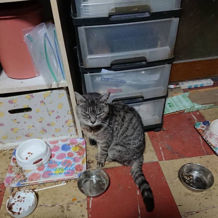 F07b476a 116f 4340 a049 d10e03c557b6 1580154855120