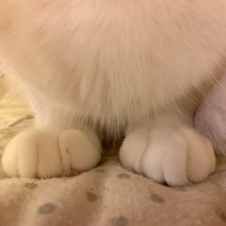 F07b4c20 11b8 4e34 bf56 cff89b263c04 1593096714587