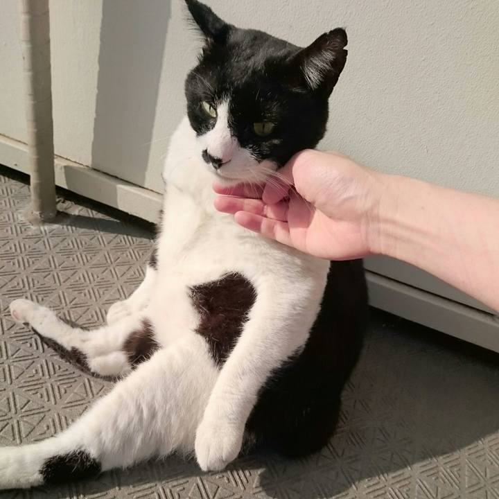 F07b91a2 9b29 4a89 881b e50c794b36e4 1508909992818