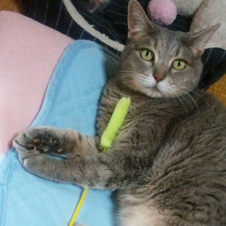 F07bc70e 80d9 4e4f a92f 4ec4bc93710b 1528604650700