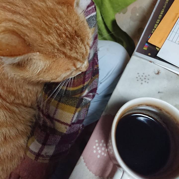 F07bd213 ff27 4e0e 8cb0 3a1ee6d6f718 1589316222647