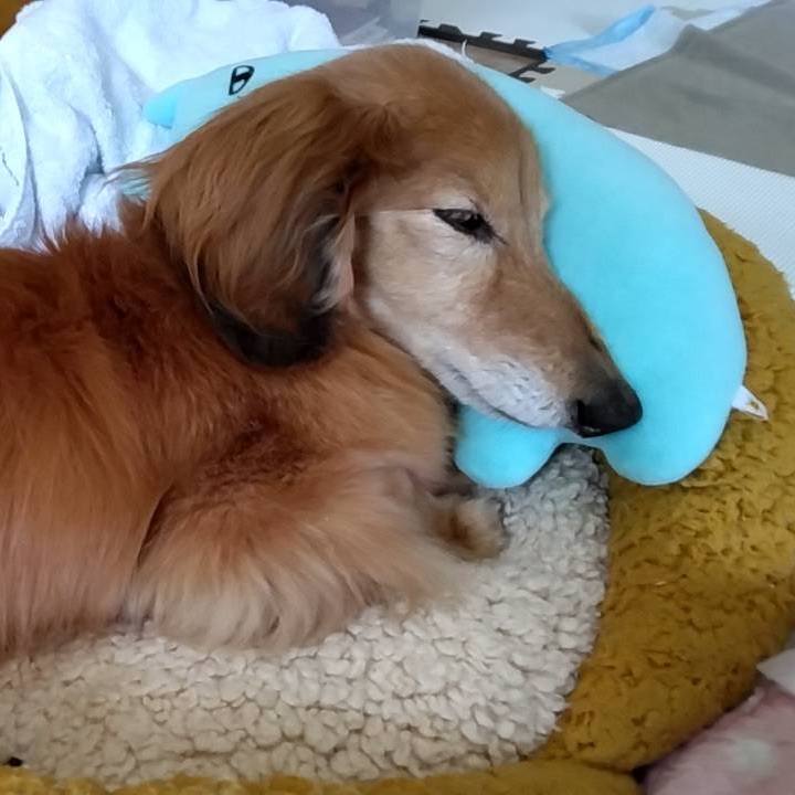 F07bef90 620a 43d5 bf36 79da3613d27a 1684935192281