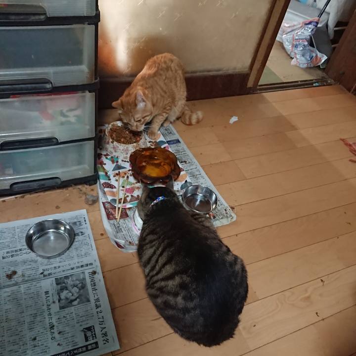 F07c0237 dd79 4320 8343 cca41dfca255 1655936491605