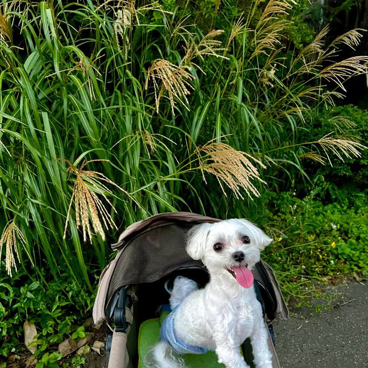 F07c1882 8575 4e4a b964 53c7dac8a828 1662694442156