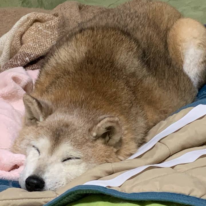 F07c45d3 f660 454a 93ca 49acae94def3 1676040782975