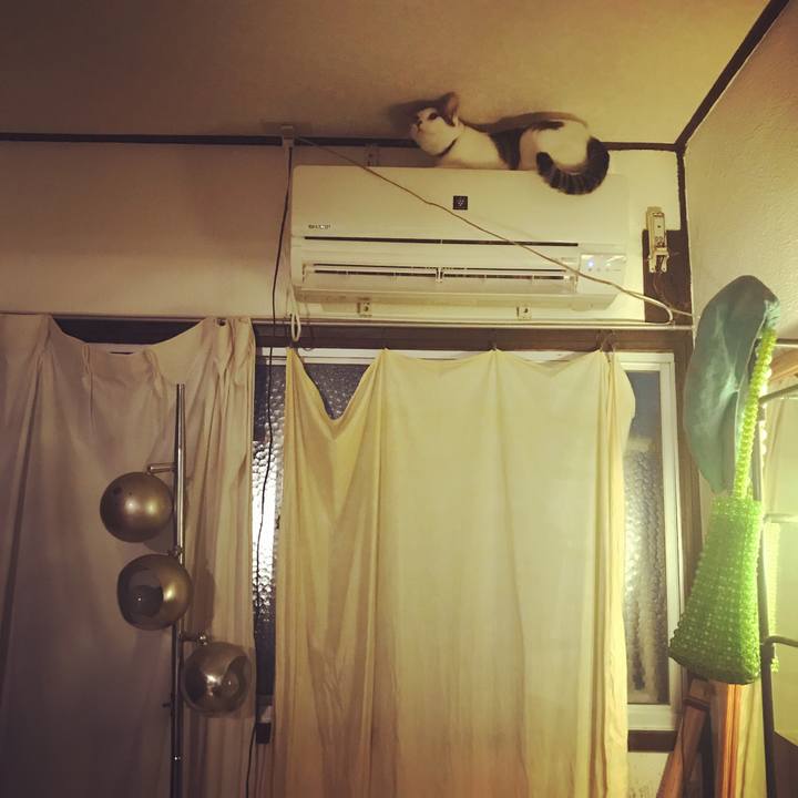 F07c8c3a 4455 4cf2 96ff a3c47d933fe0 1543721703008